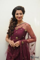 Hamsa Nandini at Bengal Tiger Movie Audio Launch
